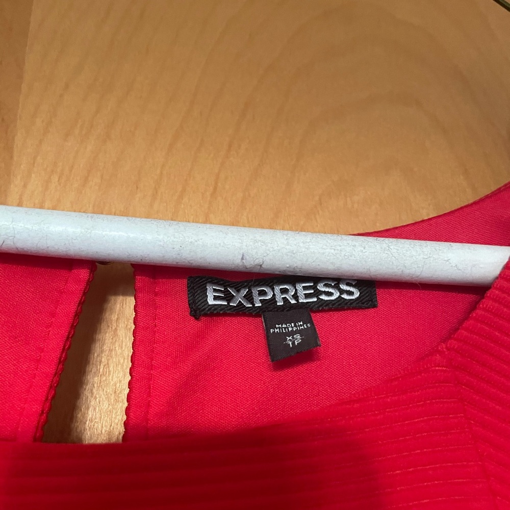 Express Dress - Picture 3 of 3
